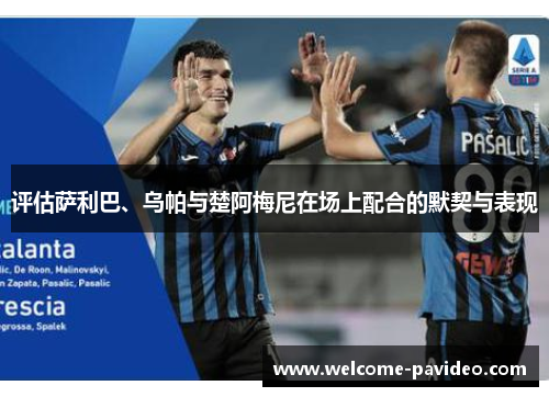 评估萨利巴、乌帕与楚阿梅尼在场上配合的默契与表现 评估萨利巴、乌帕与楚阿梅尼在场上配合的默契与表现