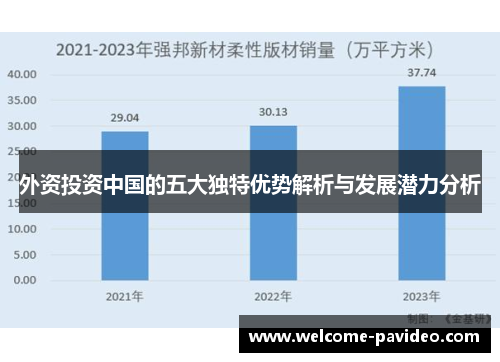 外资投资中国的五大独特优势解析与发展潜力分析