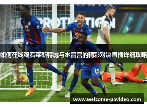 如何在线观看莱斯特城与水晶宫的精彩对决直播详细攻略 如何在线观看莱斯特城与水晶宫的精彩对决直播详细攻略