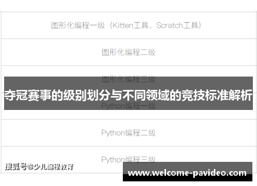 夺冠赛事的级别划分与不同领域的竞技标准解析 夺冠赛事的级别划分与不同领域的竞技标准解析