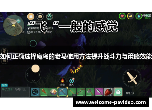 如何正确选择魔鸟的老马使用方法提升战斗力与策略效能 如何正确选择魔鸟的老马使用方法提升战斗力与策略效能