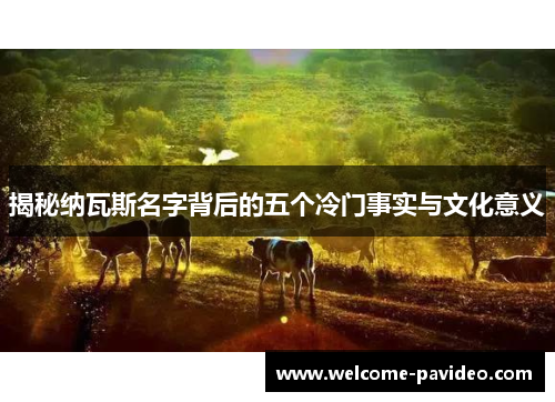 揭秘纳瓦斯名字背后的五个冷门事实与文化意义 揭秘纳瓦斯名字背后的五个冷门事实与文化意义