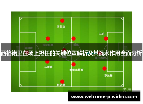 西格诺里在场上担任的关键位置解析及其战术作用全面分析