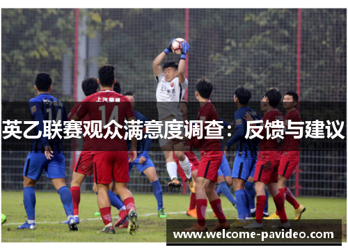 英乙联赛观众满意度调查：反馈与建议